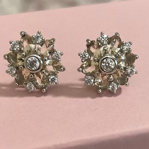 EARRINGS FOR PIERCED EARS